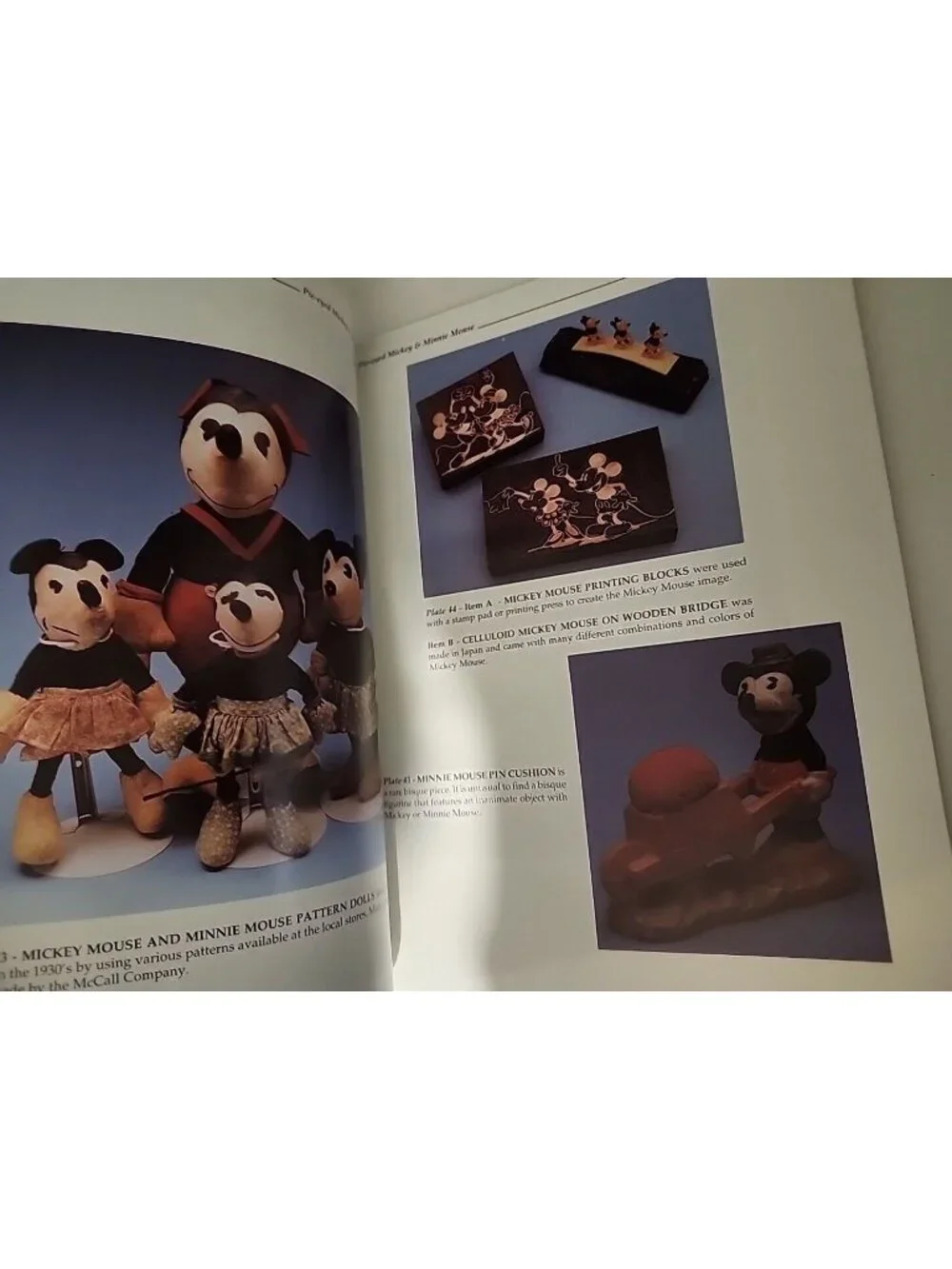 Disney stern guide